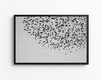 Flock of Birds Photography Print, Minimalist Wall Art (Digital Download)
