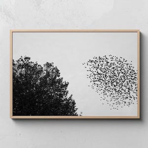 May include: Monochrome framed print showing a flock of birds in flight against a pale sky. A large tree is on the left. The artwork is in a natural wood frame, suitable for various interior styles.