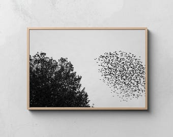 Flock of Birds Photography Print, Minimalist Black and White Sky (Digital Download)