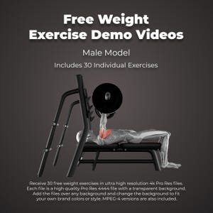 Pode incluir: Um banco de pesos preto com uma barra e pesos. A imagem inclui o texto "Free Weight Exercise Demo Videos", "Male Model" e "Includes 30 Individual Exercises". A imagem também inclui texto sobre os arquivos de vídeo.