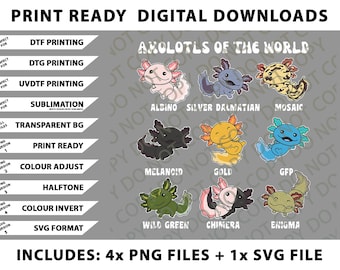 Axolotls of the world Sweet Animals Kawaii Axolotl (1) Png Bundle, SVG Files, Digital Downloads