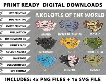 Axolotls of the world Sweet Animals Kawaii Axolotl Png Bundle, SVG Files, Digital Downloads