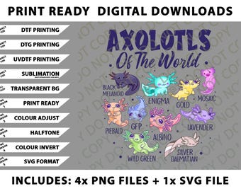 Axolotl Cute Axolotls Of The World Kawaii Girl Boy Kid Png Bundle, SVG Files, Digital Downloads