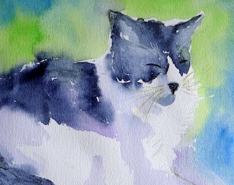 Water color greeting card set of 6 - view of black and white kitty cat