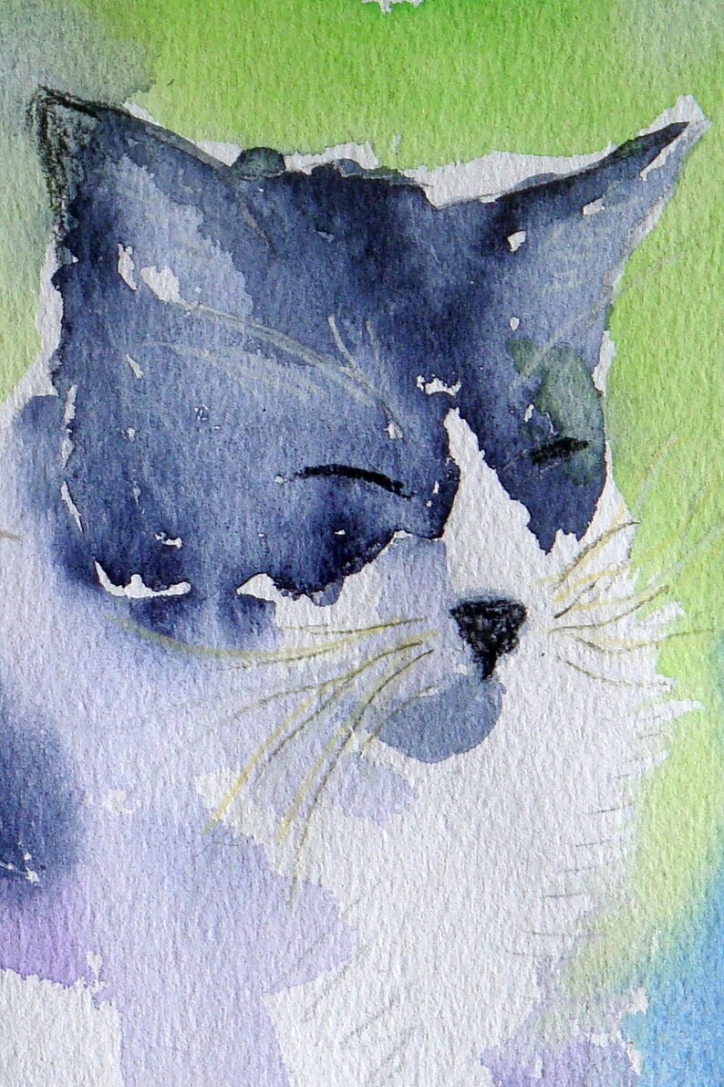Water color greeting card set of 6 Portrait view of black and white kitty cat image 2
