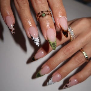 Peut inclure: Ongles longs en amande avec différents motifs animaliers. Les ongles présentent des imprimés léopard, des rayures zébrées et des motifs d'écailles de reptile. Les ongles sont ornés de bagues en or.
