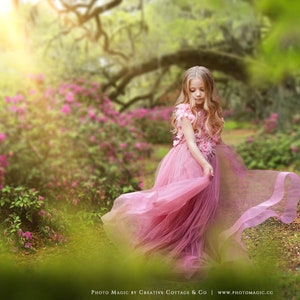 Fairytale Forest- Layered PSD Digital Photography Background-  Sunlight Forest Flowers Backdrop for Portrait Photography