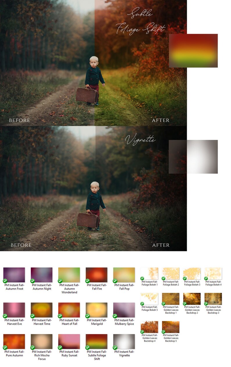 Instant Fall Tone Overlays- 25 Tones, Backdrops and Leaf Bokeh Digital ...