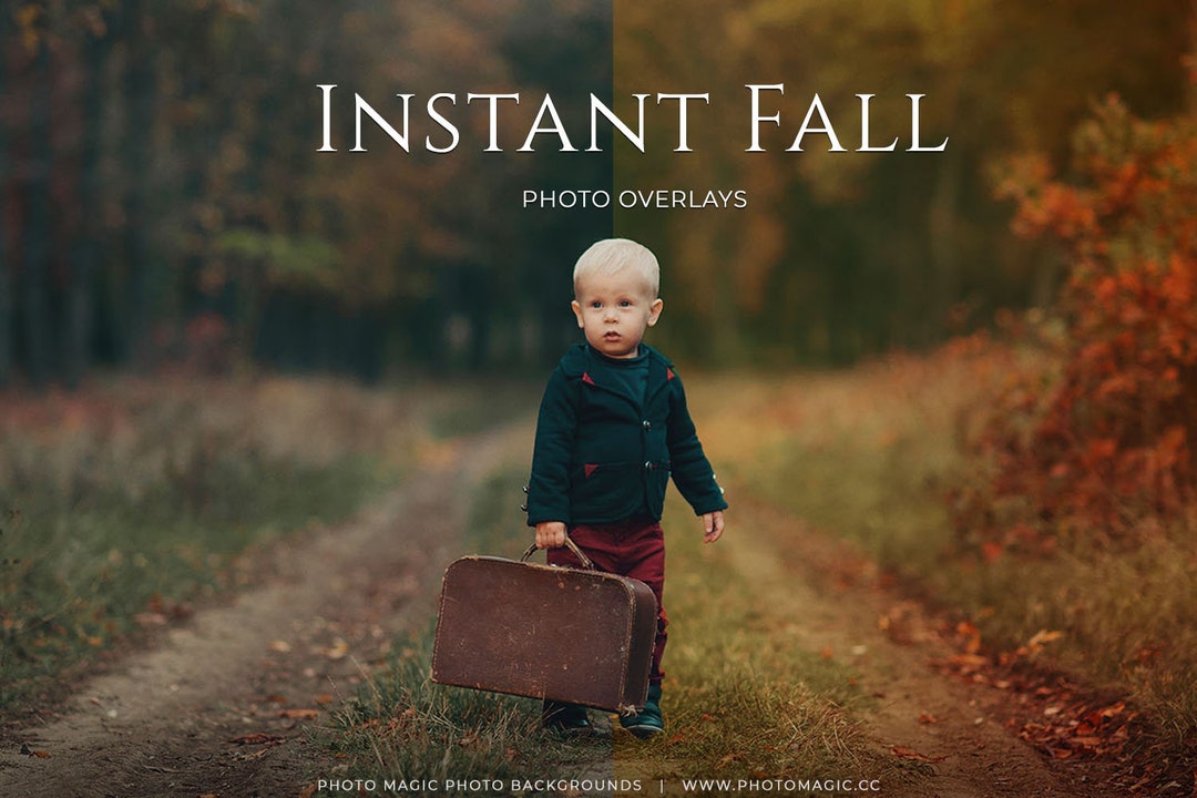 Instant Fall Tone Overlays- 25 Tones, Backdrops and Leaf Bokeh Digital ...