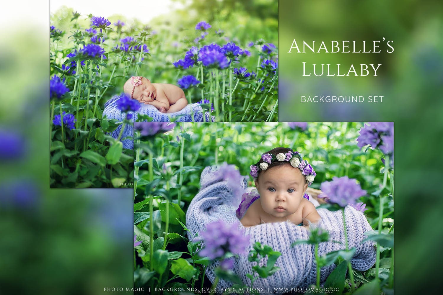 Anabelle's Lullaby Spring Purple Flower Newborn Portrait Etsy