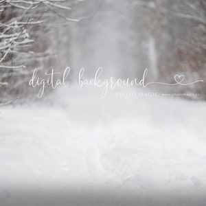 Snowy Forest Digital Photography Background- Snowy Pine Tree Path Christmas Card Backdrop Fine Art Photography