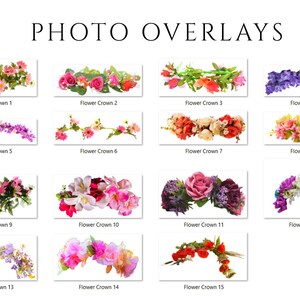 May include: A collection of 15 different flower crowns, each with a unique arrangement of flowers. The crowns are made of various types of flowers, including roses, daisies, and lilies. The crowns are all in different colors, including pink, purple, white, and yellow.
