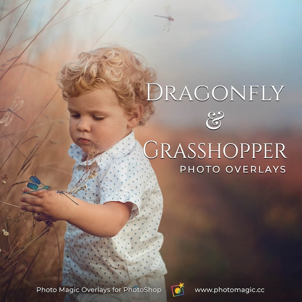 Dragonflies & Grasshoppers- 15 Digital Bug PNG Overlays Digital Props for Creative Photography