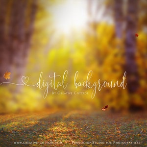 Autumn Glory Digital Photography Background-  Fall Autumn Leaves for Fine Art Photography