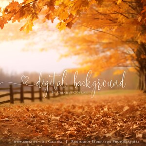 Könnte beinhalten: Digitaler Hintergrund mit einem Weg, der im Herbst von Bäumen gesäumt ist. Die Szene ist von warmen, goldenen Farbtönen der Blätter und des Sonnenlichts geprägt. Der Text "digital background" ist in Schreibschrift geschrieben.