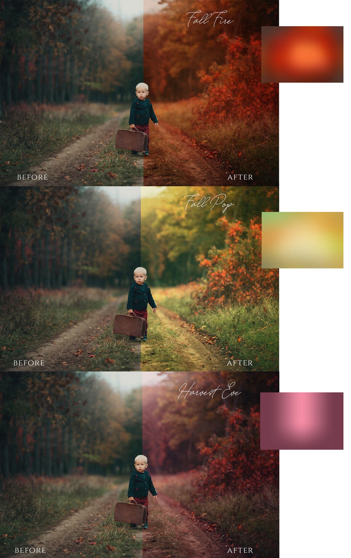 Instant Fall Tone Overlays- 25 Tones, Backdrops and Leaf Bokeh Digital ...