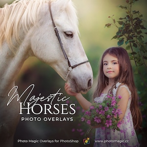 Majestic Horses- 21 Digital Animal PNG Overlays White Horses and Black Stallions for Creative Photography