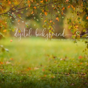 Enchanted October Digital Photography Background- Autumn Forest Colorful Leaves for Fine Art Photography