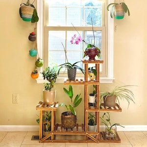 May include: A wooden plant stand with multiple shelves displays various potted plants. Hanging baskets with greenery are suspended from the window rod. The plants include orchids, ferns, and other foliage, creating a vibrant indoor garden.