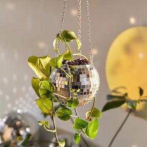 Può includere: Un vaso da fiori sospeso sferico ricoperto di piccole tessere a specchio argentate riflettenti, appeso tramite tre sottili catene metalliche. Una pianta verde rampicante con foglie a forma di cuore cresce dall'apertura superiore.