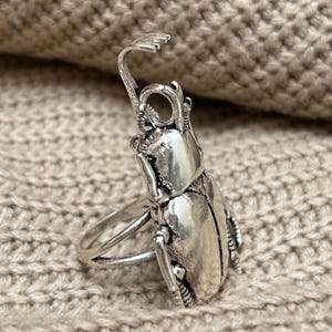 Könnte beinhalten: Ein silberner Ring in Form eines Käfers. Der Ring weist aufwendige Details auf, darunter der Körper, die Beine und die Fühler des Käfers. Der Ring ist vor einem neutralen Hintergrund platziert, der seinen metallischen Glanz und sein einzigartiges Design hervorhebt.