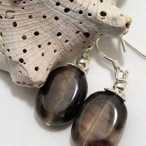 May include: A pair of silver dangle earrings with oval-shaped, dark brown gemstone beads.