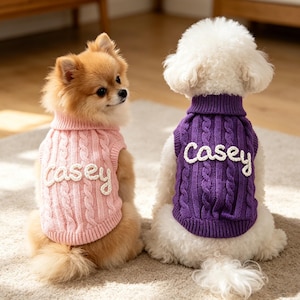 Custom Pet Clothing with Name, Personalized Name Jumper for Dog, Doggy Outdoor Outfit, Hand-Embroidered Cat Dog Sweater, Puppy Birthday Gift