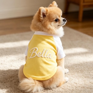 カスタム犬名入りシャツ、小型犬用パーソナライズ服、ペット用アウトドア服、刺繍入り犬用Tシャツ、ペット好きへのギフト