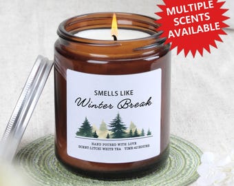 Candela profumata per le vacanze invernali, regalo di Natale per insegnanti, regalo per insegnanti, regali per insegnanti, regalo di apprezzamento per insegnanti, regalo di ringraziamento