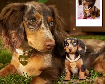 Custom Dog Figurine – Personalized Pet Memorial Sculpture