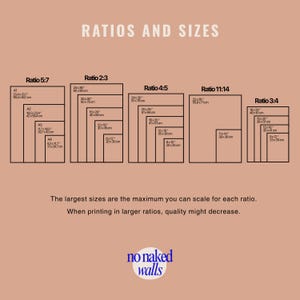 May include: A tan graphic with the text "RATIOS AND SIZES" and size charts for various ratios, including 5:7, 2:3, 4:5, 11:14, and 3:4. Each chart displays dimensions in inches and centimeters. The bottom of the graphic features the "no naked walls" logo.