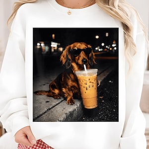 May include: White sweatshirt with a graphic of a dachshund wearing sunglasses and drinking iced coffee. The dog is brown with long hair. The image has a dark background with blurred lights.