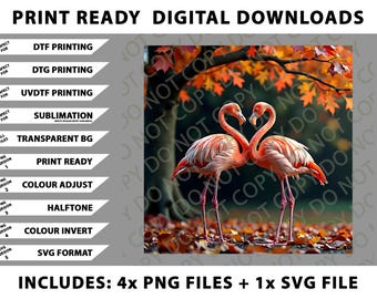 Flamingo Thanksgiving Halloween It's Fall Y'all Autumn Women Png Bundle, SVG Files, Digital Downloads