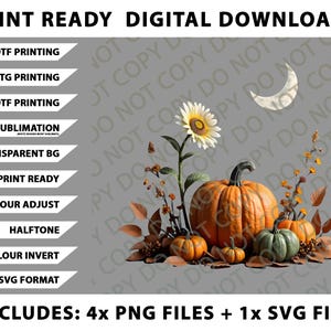 Puede incluir: Gráfico de descarga digital con calabazas, un girasol y hojas de otoño. La imagen incluye texto: PRINT READY DIGITAL DOWNLOADS, e información del tipo de archivo. Incluye 4 archivos PNG y 1 archivo SVG.