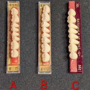 Vintage Artificial Teeth Models (Sold Individually)