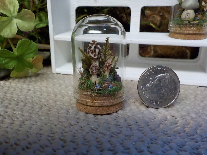 Forest Floor Miniature Cloche,Mushroom Figurine,Mossy Terrarium,Magical Forest Cloche,Forest FairyGarden,Nature Lover Gift