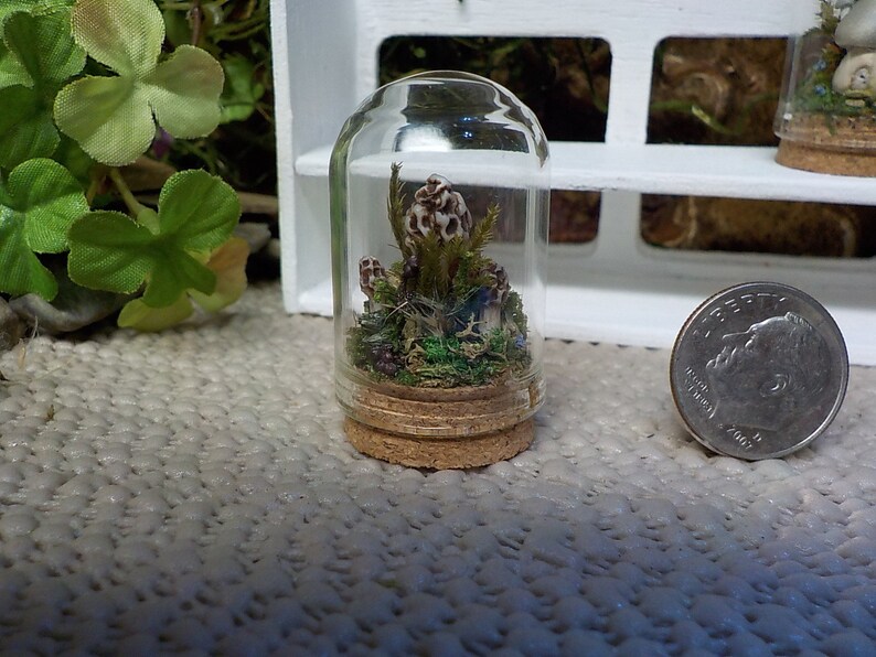 Forest Floor Miniature Cloche,Mushroom Figurine,Mossy Terrarium,Magical Forest Cloche,Forest FairyGarden,Nature Lover Gift