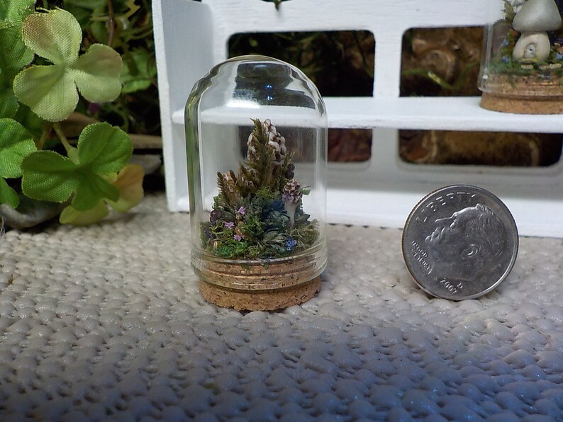Forest Floor Miniature Cloche,Mushroom Figurine,Mossy Terrarium,Magical Forest Cloche,Forest FairyGarden,Nature Lover Gift