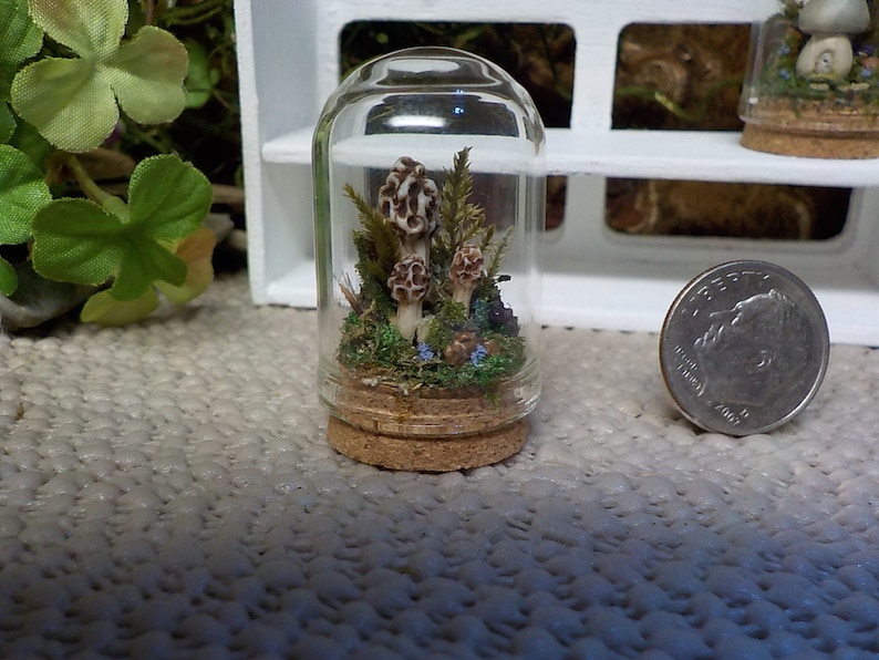 Forest Floor Miniature Cloche,Mushroom Figurine,Mossy Terrarium,Magical Forest Cloche,Forest FairyGarden,Nature Lover Gift