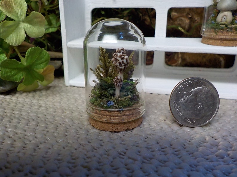 Forest Floor Miniature Cloche,Mushroom Figurine,Mossy Terrarium,Magical Forest Cloche,Forest FairyGarden,Nature Lover Gift
