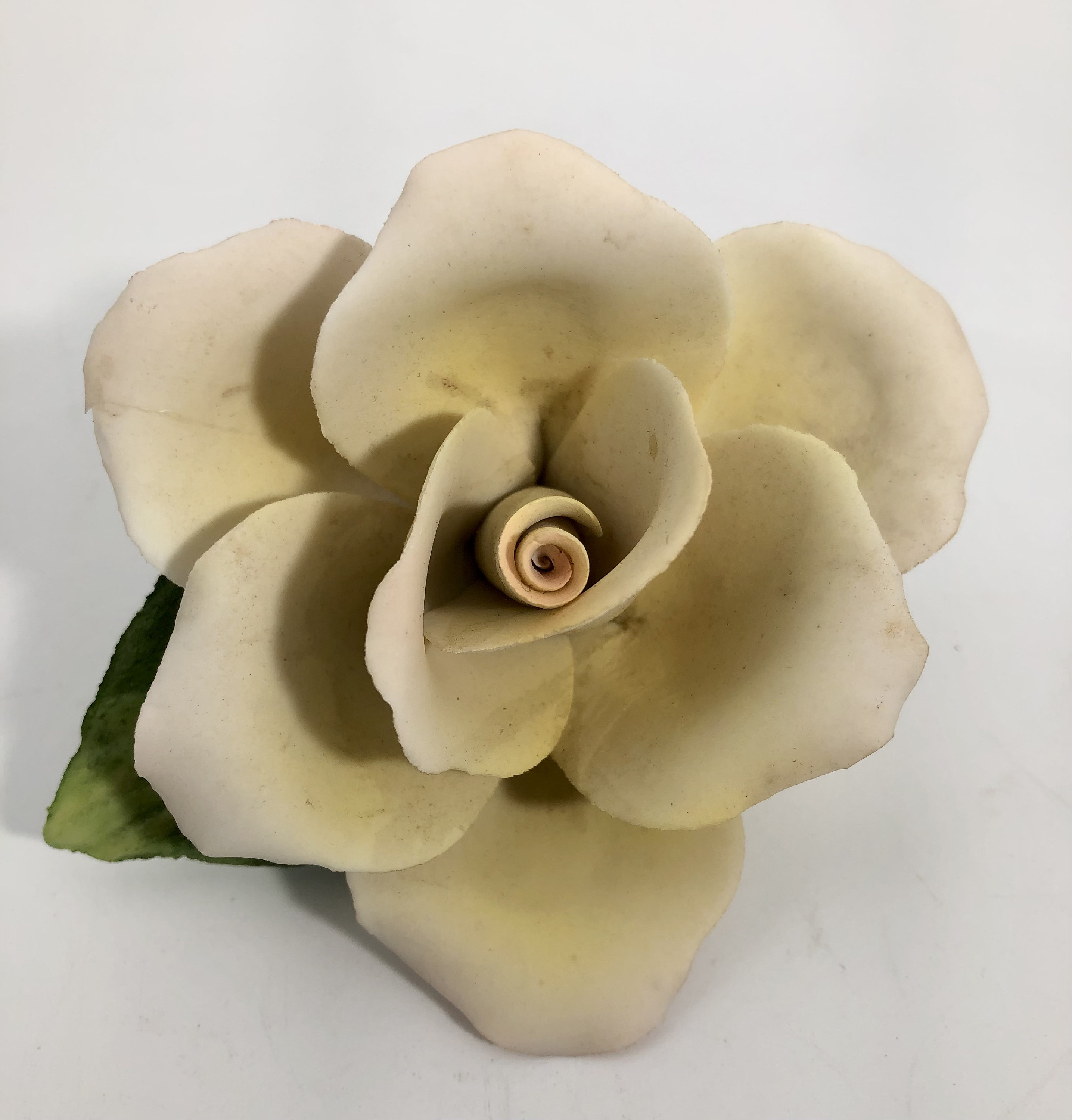 Italy Napoleon Roses - Etsy