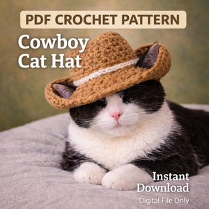 Crochet Cowboy cat Hat Pattern for Cats, Pet Costume (PDF Download)