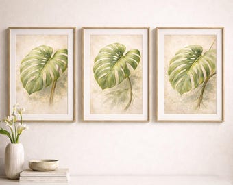 Botanische muurkunst Monstera Set van 3 vintage tropische bladafdrukken