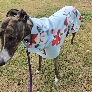May include: A brindle greyhound dog wearing a light blue fleece dog coat with a pattern of red mushrooms and white string lights. The dog is on a leash and standing on grass.