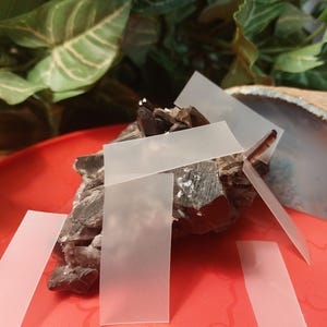 May include: A collection of translucent, rectangular labels arranged around a dark, rough-textured mineral specimen. The labels are positioned at various angles, suggesting they are being applied or displayed. The background features a red surface and green foliage.