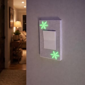 Deako Smart Switch Compatible Face plates | Glow in the dark optional | Single and double gang |