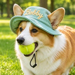 Broderad fiskarmössa för husdjur, personlig hundmössa, manchesterhatt med kattnamn, sommarhink för hund, solhatt för tax, gåvor för husdjur bild 1