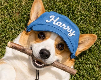 Custom Pet Baseball Cap, Personalized Hats with Name, Embroidered Name Caps for Dog and Cat, Puppy Sun Bucket Adjustable, Dog Accessories