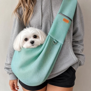 Puede incluir: Un transport&iacute;n de malla para mascotas en color verde menta claro con una peque&ntilde;a etiqueta rectangular naranja con el texto HIDREAM impreso en blanco. El transport&iacute;n cuenta con una anilla en D de metal y una estructura de tela texturizada y transpirable.