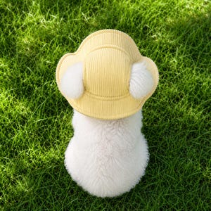 Broderad fiskarmössa för husdjur, personlig hundmössa, manchesterhatt med kattnamn, sommarhink för hund, solhatt för tax, gåvor för husdjur bild 9
